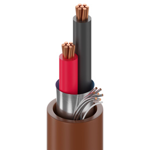 Belden Multi-conductor Riser Security & Alarm Cable