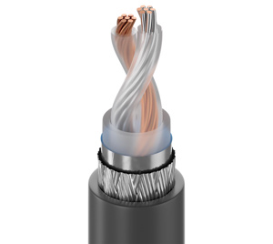Belden Twinax Computer Cable