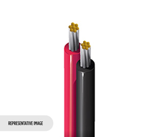 Belden Speaker Riser Cable