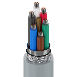 Belden Multi-conductor Computer Cable
