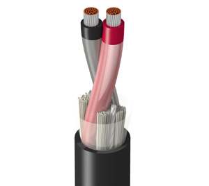 Belden Unshielded Instrumentation Cable