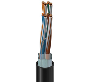 Belden Cat6 Riser Cable