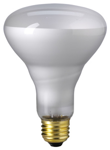 Eiko Long Life Series Incandescent Lamps BR30 65 W Medium (E26)