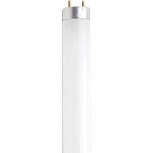 Satco Products Fluorescent T8 Lamps 13 W 12 in Bi-pin (G13) 4100 K