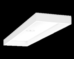 RAB Lighting SMKEZPAN Series Surface Mounting Kits Ceiling 48 in 12.125 in