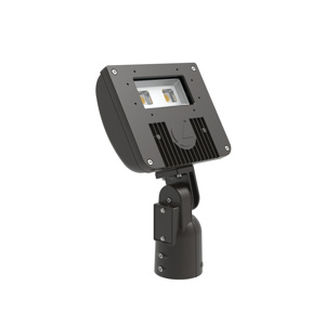Lithonia D-Series Floodlights