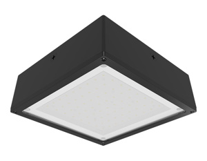 RAB Lighting VAN LED Vandalproof Canopy Lights