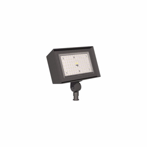 Current Lighting RFL Floodlights
