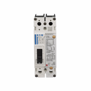 PDG12C0015TFFJ 2P15A 18KA/480V BREAKER