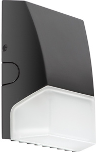 RAB Lighting BRISK Wallpacks