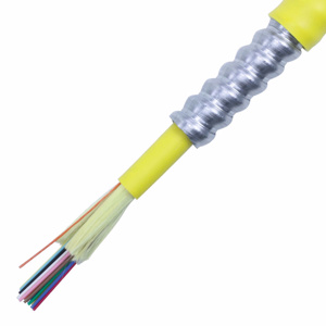 CP0249841901-AIAP PLN 24F SM ILA