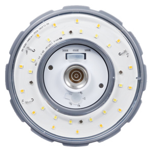 Sylvania LED Corn Cob Lamps