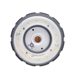 Sylvania LED Corn Cob Lamps Corn Cob 54/63/80 W Mogul (EX39)