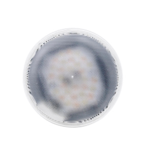 Sylvania PAR38 LED Lamps