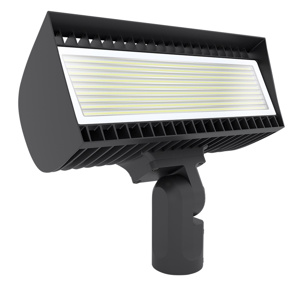 RAB Lighting FX Series Floodlights