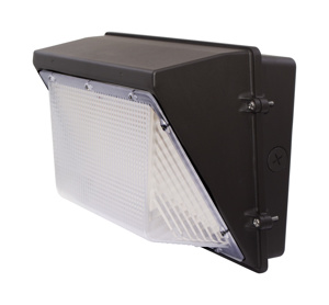 Eiko WPS Wallpacks LED 120 - 277 V 45 W 6500 lm 5000 K Bronze
