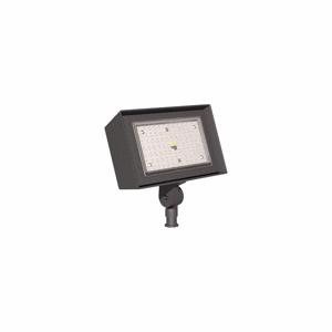 Current Lighting RFL Floodlights
