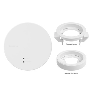 Lutron RadioRA Processors