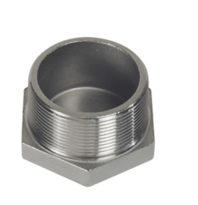 Generic Brand Hex Head <em class="search-results-highlight">Conduit</em> Plugs 1 in Stainless Steel 316 Rigid/IMC