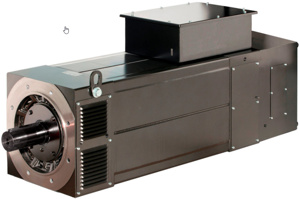 Rockwell Automation Kinetix® AC Asynchronous Main Motors