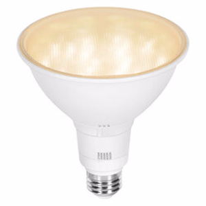 Sylvania PAR38 LED Lamps