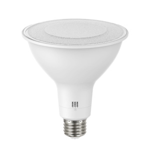 RAB Lighting PAR38 LED Lamps