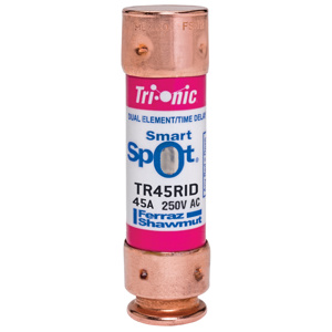 TR45RID 45A 250V TD FUSE