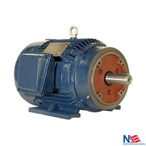 NAE Worldwide Electric PE Series Heavy Duty Three Phase Motors