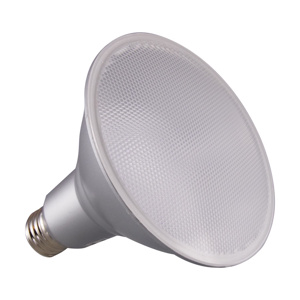 Satco Products PAR38 LED Lamps 5000 K Satco Products PAR38 LED Lamps 5000 K