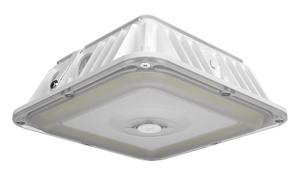 RAB Lighting VAN LED Vandalproof Canopy Lights