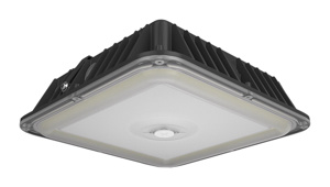 RAB Lighting VAN LED Vandalproof Canopy Lights