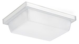 RAB Lighting VAN1LED Vandalproof Canopy Lights