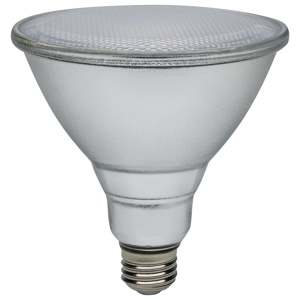 Satco Products PAR38 LED Lamps