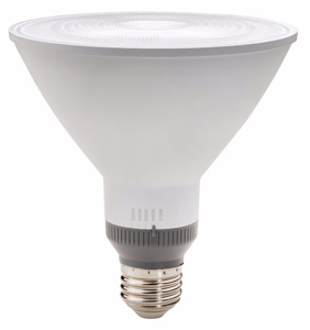 Southwire PAR38 LED Lamps