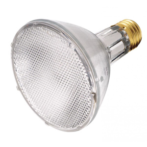 <em class="search-results-highlight">Satco</em> Products PAR30 Halogen Lamps