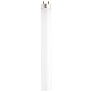 Satco Products Fluorescent T8 Lamps