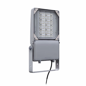 Gardco Dura Form FLDM Floodlights