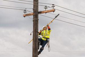 Brooks Lumber Crossarms <em class="search-results-highlight">3</em>-5/8 in x 7-1/2 in x <em class="search-results-highlight">24</em> ft