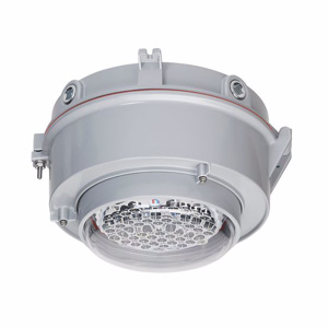 Appleton Emerson Enclosed / Gasketed Fixture Visors Mercmaster™ and Contender™
