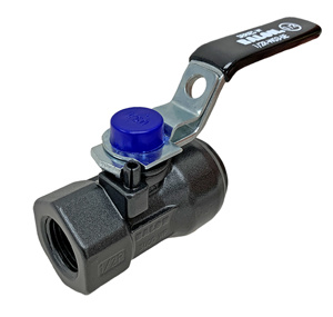 VLV BL 1/2 2M WP FP FPT STL 1/2F-W93-SE