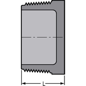 850-012C 1-1/4 MIPT CPVC S80 PLG
