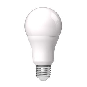 RAB Lighting A19 LED Lamps
