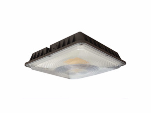 CLCS15S-PC LED CANOPY