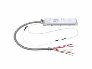 EBPLEDL7W LED EMERG BATT PK