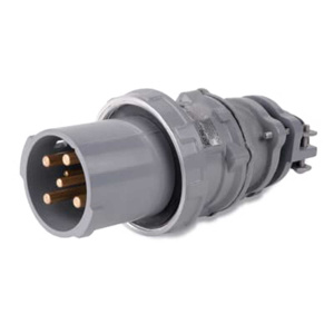 DS1516MP000 PLG MA 100A 4PL 5WIR 120V