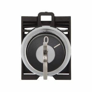 M22M-WRS 2-POS MTN KEY SEL MTL-BZL