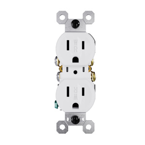 Pass & Seymour Duplex Recepacles