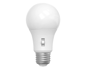 RAB Lighting A19 LED Lamps