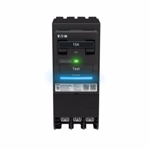 SBR260WGF SB BR GFI 2P 60A