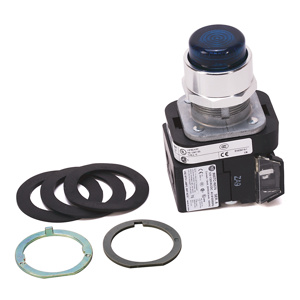 800TC-QBH2BG1 30MM MOMENTARY PUSH BUTTON